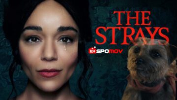 strays watch and download free online