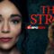 Strays: A Heartwarming Tale of Love and Redemption