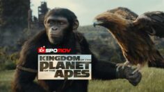 Kingdom-of-the-Planet-of-the-Apes