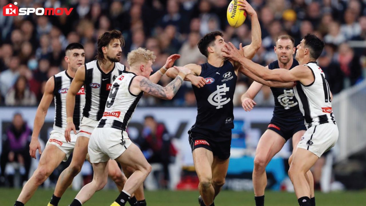 Magpies-vs-Blues-AFL-live Featured Image